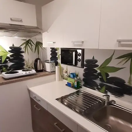 Apartment Schwarzach 公寓 *